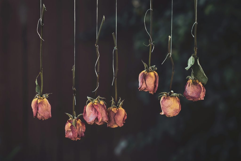 Hanging Dried Flower Decor
